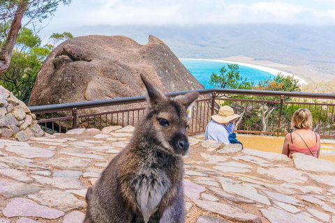 Wineglass Bay & Freycinet NP Full Day Tour From Hobart Via Richmond Village - 2032 Olympic Games 0
