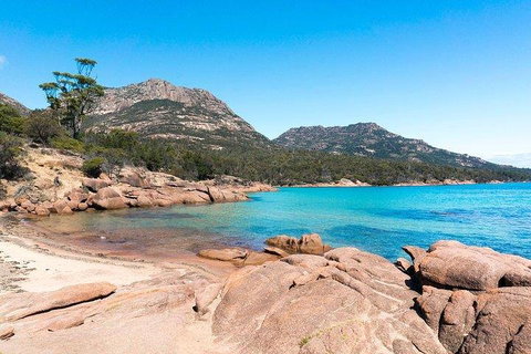 Wineglass Bay & Freycinet NP Full Day Tour From Hobart Via Richmond Village - 2032 Olympic Games 5