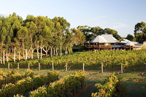 Margaret River And Geographe Bay Region Day Trip From Perth - 2032 Olympic Games 1
