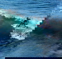 Great Ocean Road Highlights Tour - 2 Days 1 Night - 2032 Olympic Games