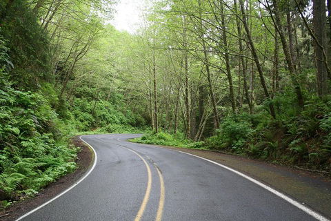 Great Ocean Road Highlights Tour - 2 Days, 1 Night - 2032 Olympic Games 4