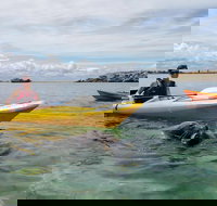 Seal Island and Penguin Island or Point Peron Sea Kayak Tour - 2032 Olympic Games