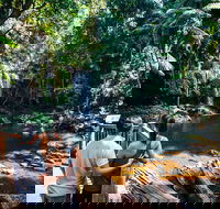 Aquaduck  Your choice of Gold Coast Rainforest Tour - 2032 Olympic Games