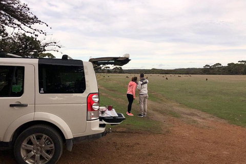 Kangaroo Island 4WD Tour - Flinders Chase - 2032 Olympic Games 3