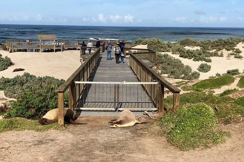 Kangaroo Island 4WD Tour - Best Of KI - 2032 Olympic Games 2