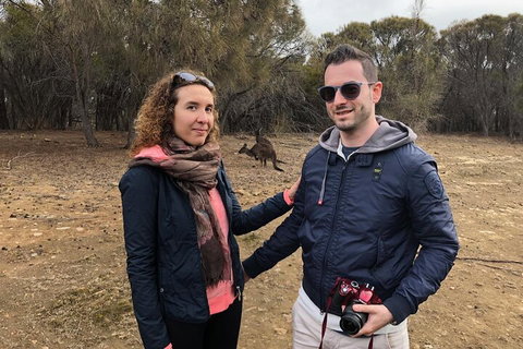 Kangaroo Island 4WD Tour - Best Of KI - 2032 Olympic Games 3