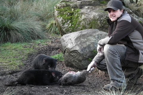 After Dark Tasmanian Devil Feeding Tour At Cradle Mountain - 2032 Olympic Games 2