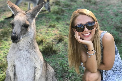 PJ Blue Mountains Supreme Day Tour - 2032 Olympic Games 2