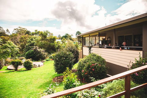 Full-day Springbrook National Park Tour From The Gold Coast - 2032 Olympic Games 2