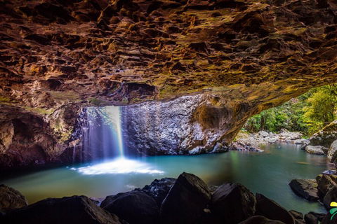 Full-day Springbrook National Park Tour From The Gold Coast - 2032 Olympic Games 3