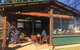 Personalised Wine Tour Experience In The Beautiful NSW Southern Highlands - thumb 3