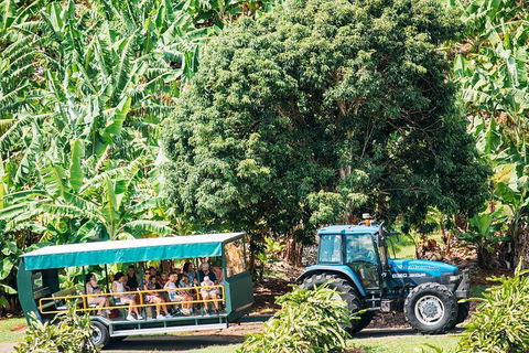 Northern Rivers Full Day Wine Tour - 2032 Olympic Games 1