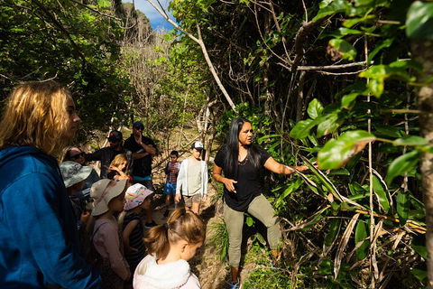 Cape Byron Aboriginal Tour - 2032 Olympic Games 4