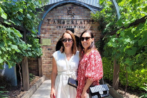 Hideaway Private Tours Hunter Valley- Indulgence Wine Tour (Full Day) - 2032 Olympic Games 5