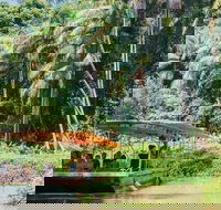 Tropical Fruit World Farm Full Tour - 2032 Olympic Games
