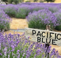 Kangaroo Island Food and Wine Trail Tour - 2032 Olympic Games