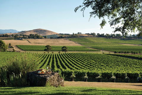Small Group 6 Guests: Ultimate Yarra Valley Food And Wine - Mercedes Van - 2032 Olympic Games 4