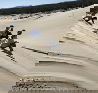 Port Stephens Bush Beach and Sand Dune 4WD Tag-Along Tour - 2032 Olympic Games