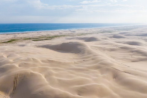 Port Stephens Bush, Beach And Sand Dune 4WD Passenger Tour - 2032 Olympic Games 2