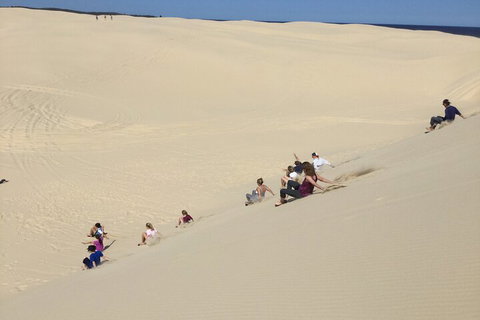 Port Stephens Bush, Beach And Sand Dune 4WD Passenger Tour - 2032 Olympic Games 4