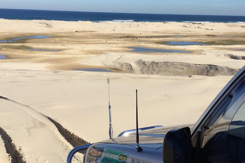 Port Stephens Bush, Beach And Sand Dune 4WD Passenger Tour - 2032 Olympic Games 5