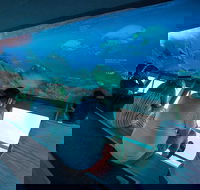 Great Barrier Reef Day Cruise to Reefworld - 2032 Olympic Games
