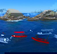 3-Hour Byron Bay Certified Scuba Diving Tour - 2032 Olympic Games