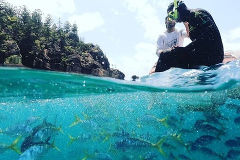 2 Night Small Group Whitsundays Sailing Adventure Aboard Mandrake - 2032 Olympic Games 5