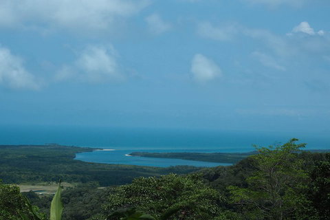 Cape Tribulation, Daintree Rainforest And Wildlife Tour - 2032 Olympic Games 1