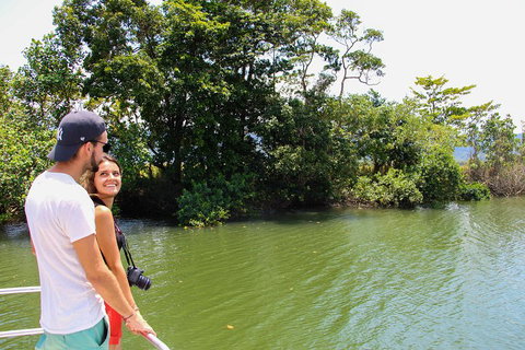 Cape Tribulation, Daintree Rainforest And Wildlife Tour - 2032 Olympic Games 2