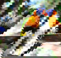 Wildlife Habitat Port Douglas - 2032 Olympic Games