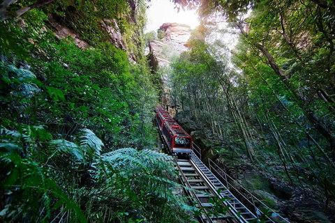 Private Blue Mountains Tour - 2032 Olympic Games 0