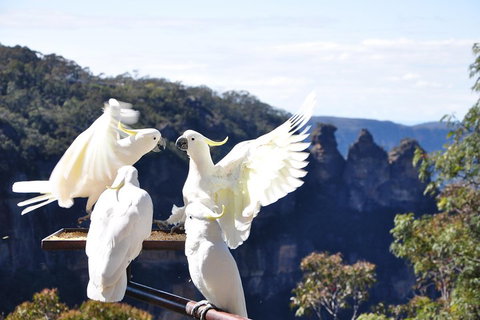 Private Blue Mountains Tour - 2032 Olympic Games 1