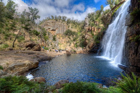 Melbourne To Adelaide South East Coast 3 Day Overland Tour - 2032 Olympic Games 4