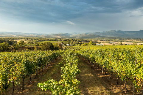 Yarra Valley Local Produce And Wine Tasting Tour - 2032 Olympic Games 3