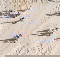 Unlimited Sandboarding - 2032 Olympic Games