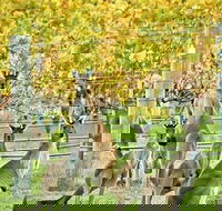 Margaret River Indulge and Discover Day Tour - 2032 Olympic Games
