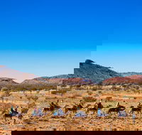 Alice Springs Camel Tour - 2032 Olympic Games