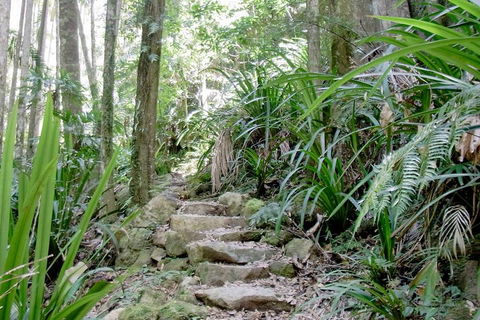 Byron Bay Combo: Minyon Falls And Hinterland Day Trip And Learn To Surf At Byron Bay - 2032 Olympic Games 3