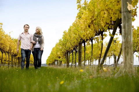 Overnight Daylesford And Macedon Ranges Gourmet Food Trail Tour From Melbourne - 2032 Olympic Games 2