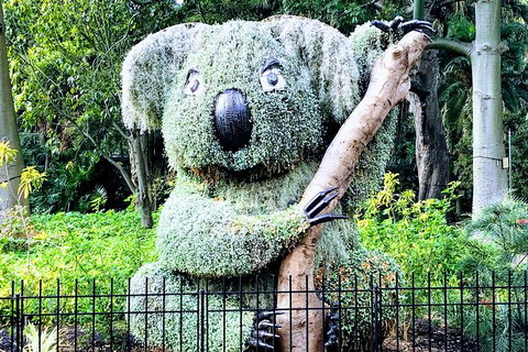 Discover Sydney - Botanic - 2032 Olympic Games 1