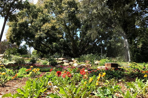 Discover Sydney - Botanic - 2032 Olympic Games 3