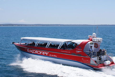Whale Watching Jervis Bay - 2032 Olympic Games 1
