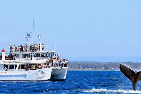 Whale Watching Jervis Bay - 2032 Olympic Games 4