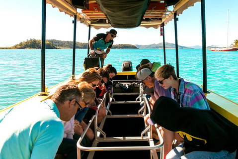 Airlie Beach Glass Bottom Boat Tour - 2032 Olympic Games 1