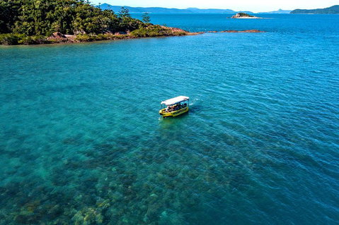 Airlie Beach Glass Bottom Boat Tour - 2032 Olympic Games 4