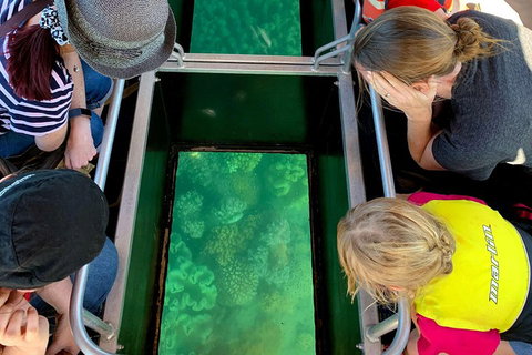 Airlie Beach Glass Bottom Boat Tour - 2032 Olympic Games 5