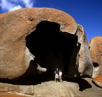 Full-Day Kangaroo Island Safari from Penneshaw - 2032 Olympic Games