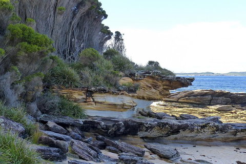 Day Trip To Cronulla & The Royal National Park - 2032 Olympic Games 4