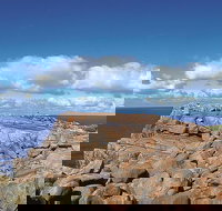 4 Day Tour Albany Margaret River Valley of the Giants TreeTop Walk from Perth - 2032 Olympic Games